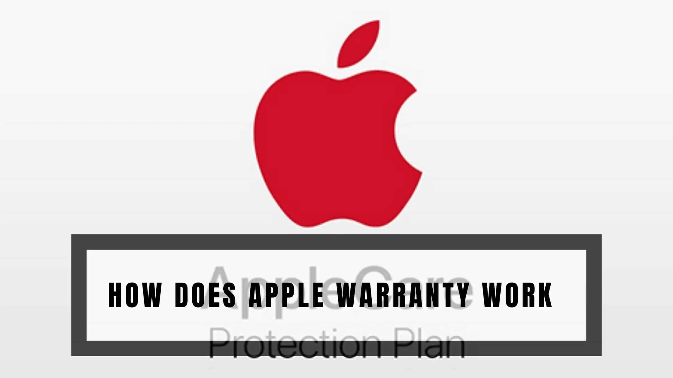 How Does Apple Warranty Work