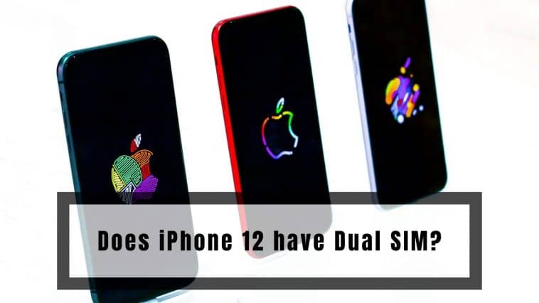 Does iPhone 12 have Dual SIM