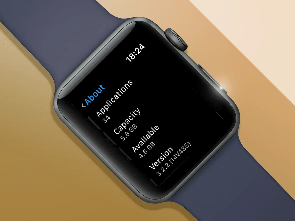 How to Check the Storage of Apple Watch?