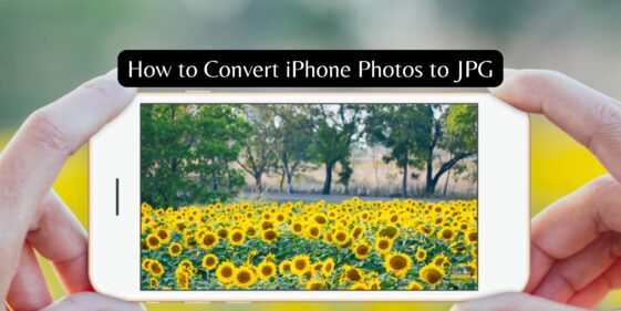 How to Convert iPhone Photos to JPG