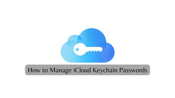 How to Manage iCloud Keychain Passwords