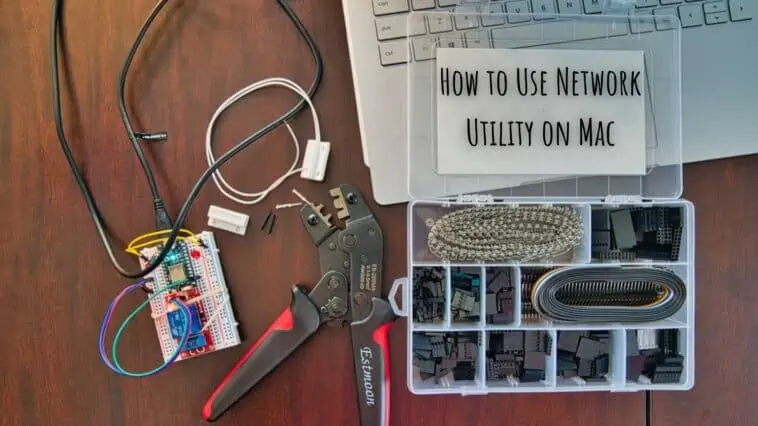 How to Use Network Utility on Mac