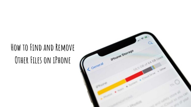 How to Find and Remove Other Files on iPhone