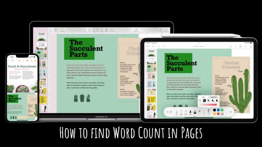 how-to-find-word-count-in-pages-in-2023-stupid-apple-rumors