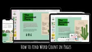How to find Word Count in Pages