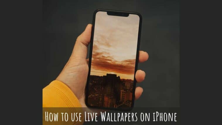 How to use Live Wallpapers on iPhone